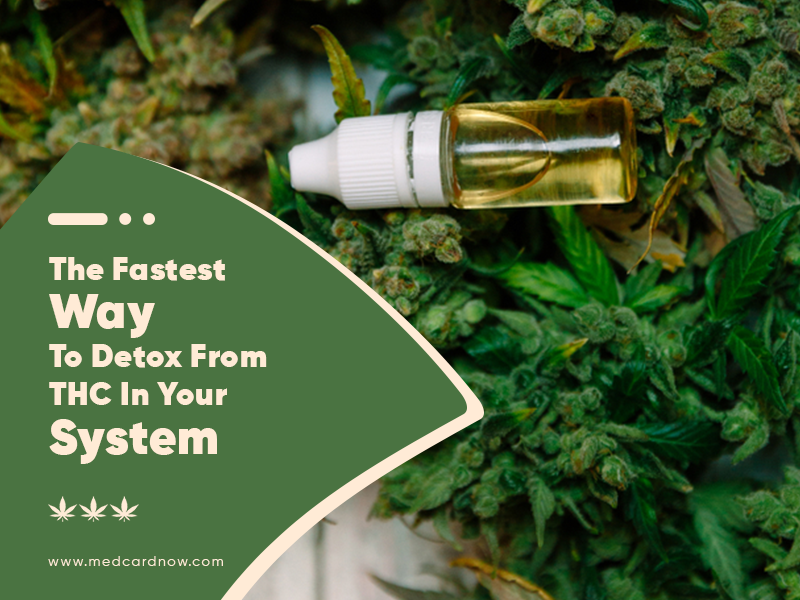 The Fastest Way to Detox from THC in your System - Med Card Now